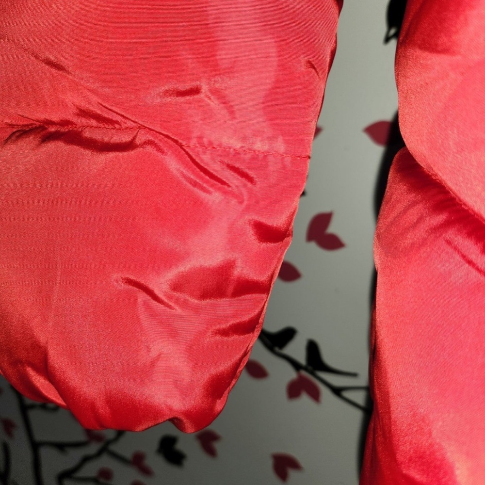 Red Jacket - image 4